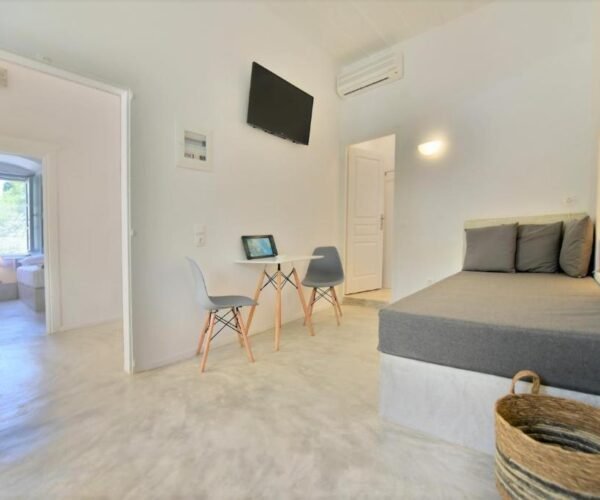 Grand Apartment15