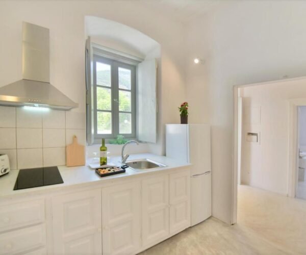 Grand Apartment16