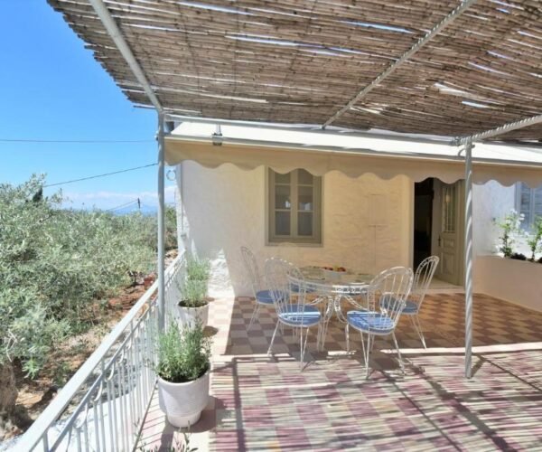 Grand Apartment19