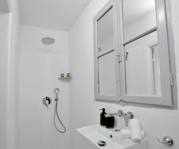Standard-Double4.jpg